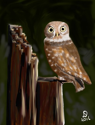 Voorbeeld van een Ipad-tekening