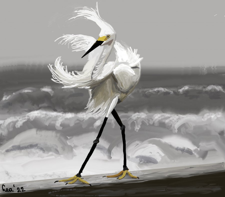 Persoonlijke verjaardagskaart